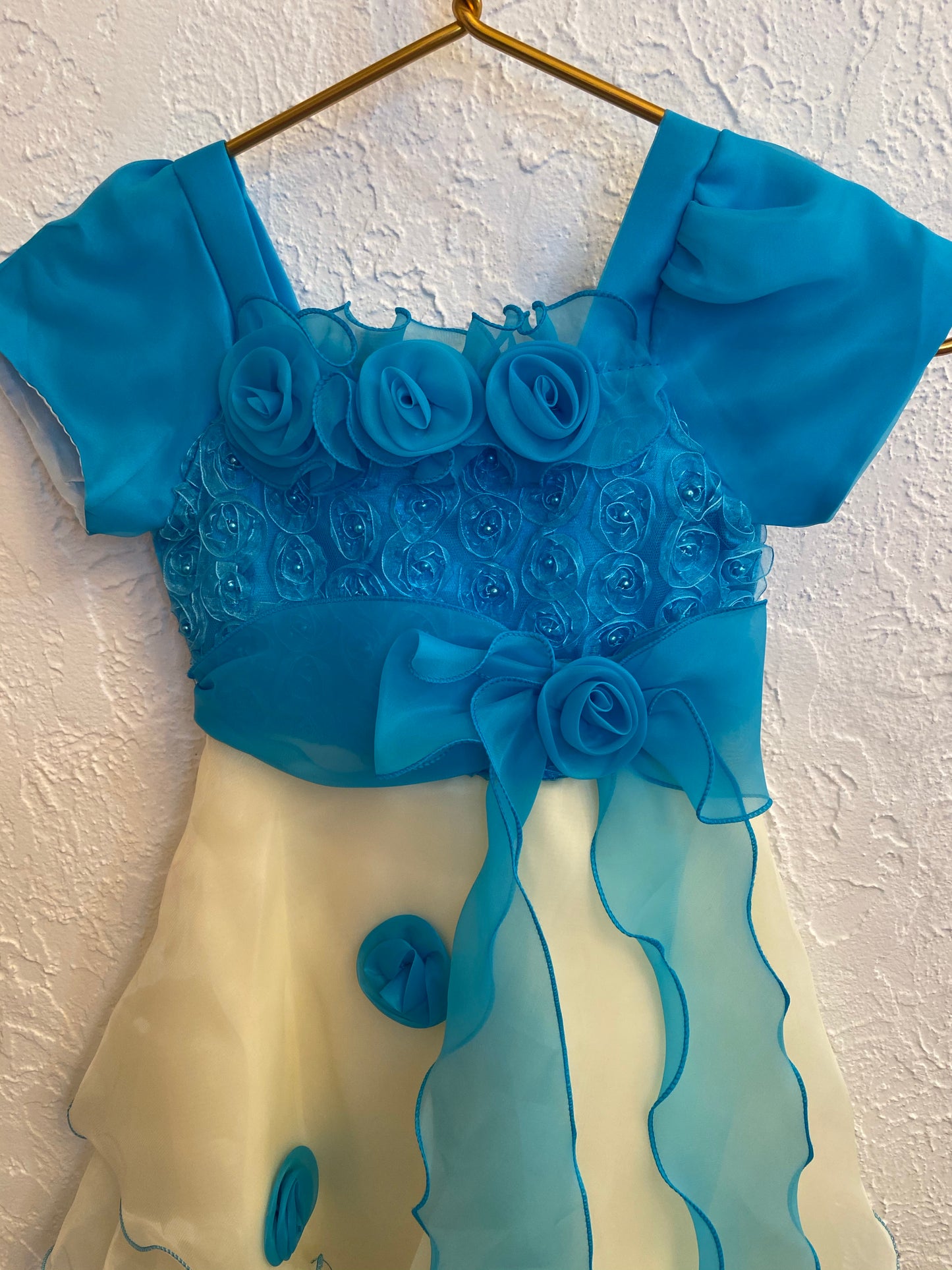 Blue Rose Dress- Youth M (8)